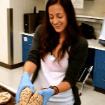 Screen Shot 2014-04-07 at 10.25.37 PM