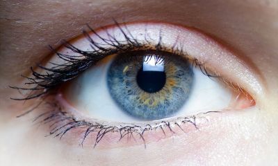 800px-Iris_-_left_eye_of_a_girl