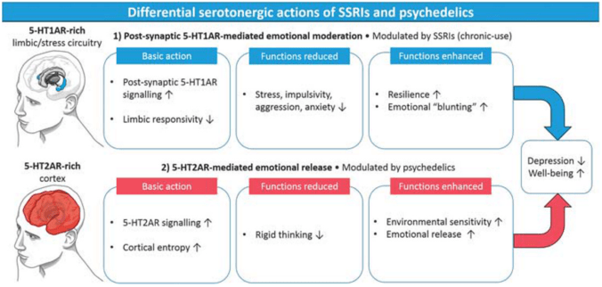 Screen Shot 2020-07-29 at 1.04.14 PM