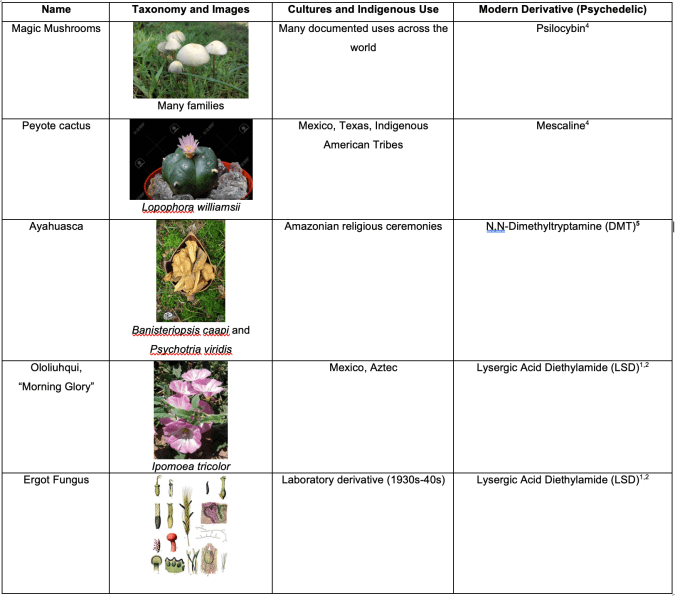 Screen Shot 2020-07-29 at 1.08.47 PM